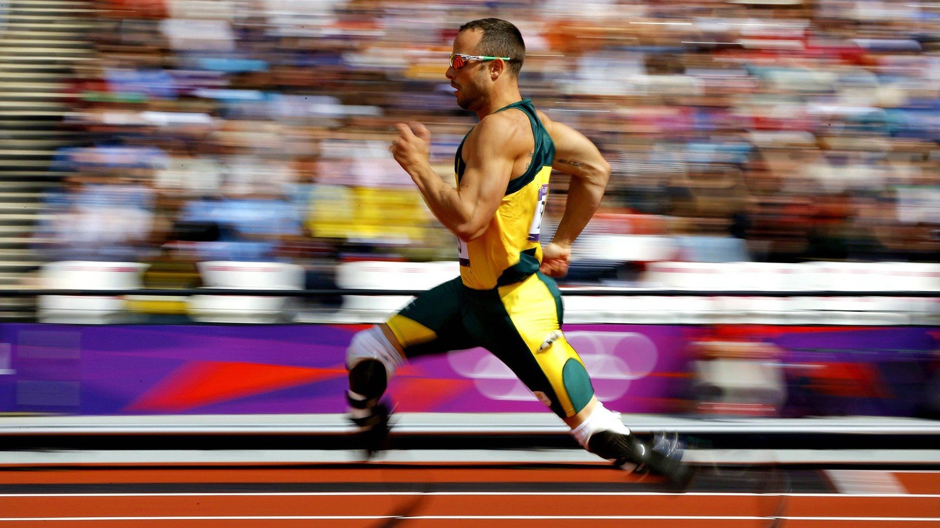 体育文化沙龙走进城市书屋激发公众兴趣，体育文化街